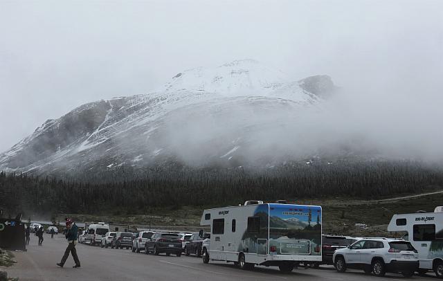 IMG 5382