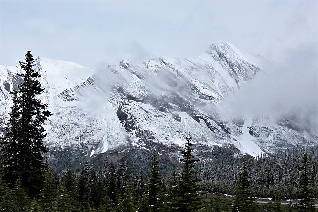 IMG 5398