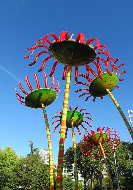 IMG 5608
