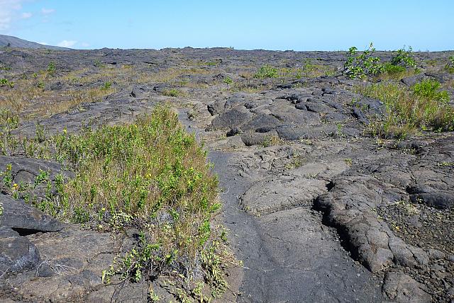 P1130310