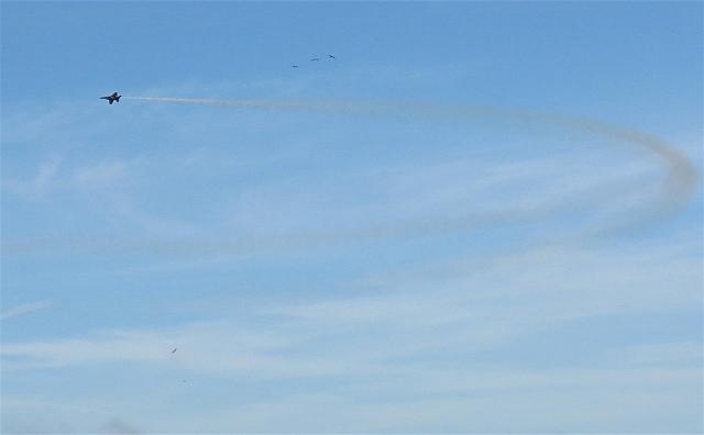 IMG 8295 (2)