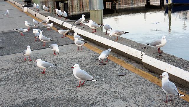 IMG 9094