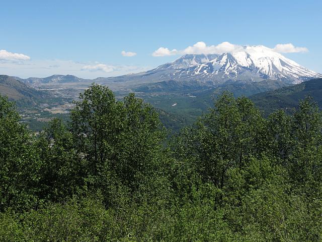 IMG 0858