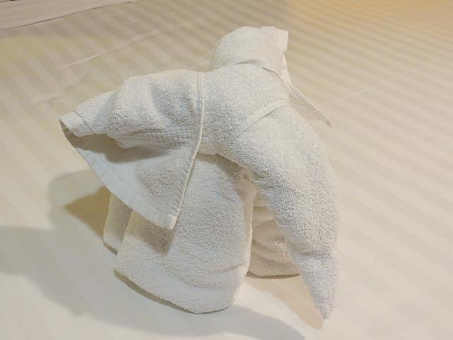 IMG 1645