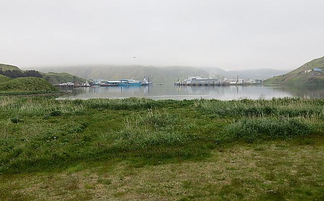 IMG 2414