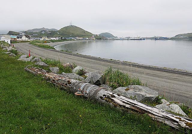 IMG 2445