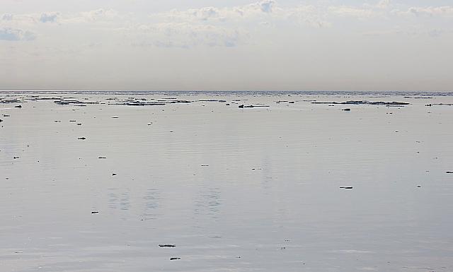 IMG 2496