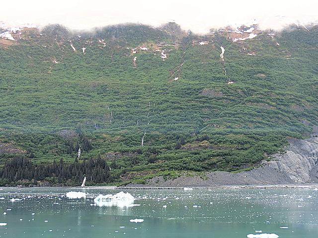 IMG 2382