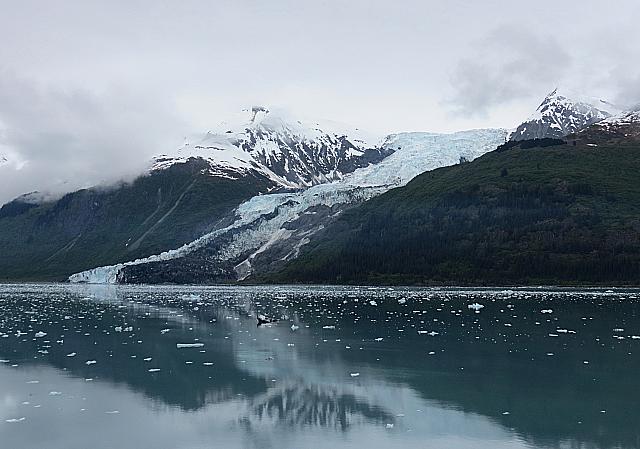 IMG 2383