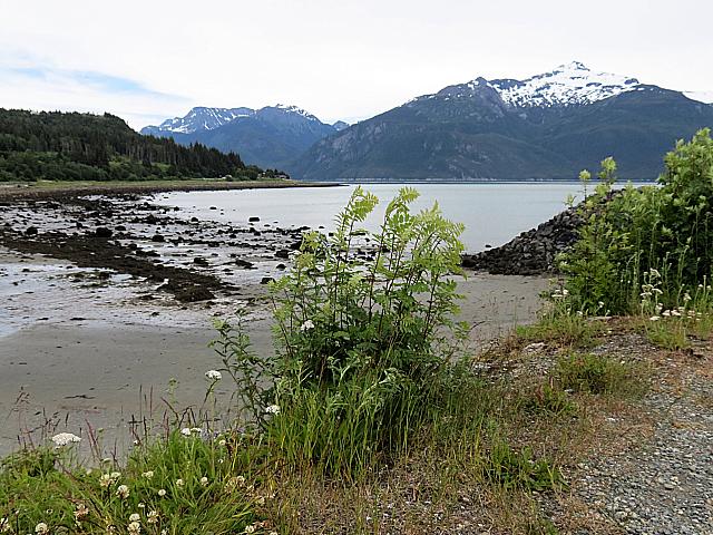 IMG 2756