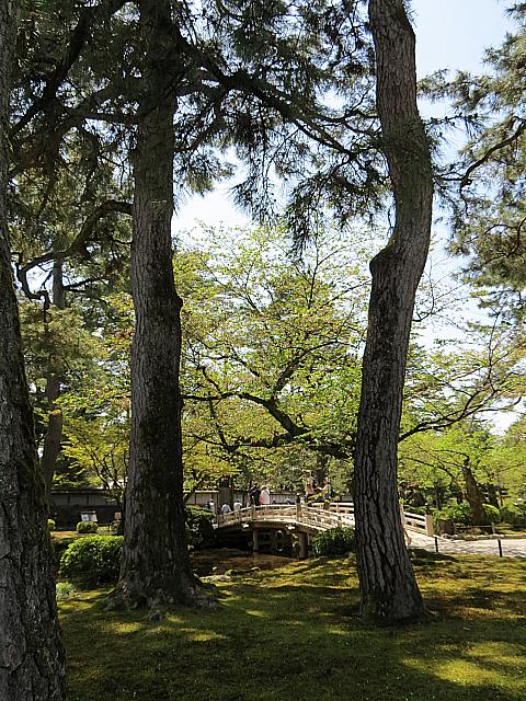 IMG 3749