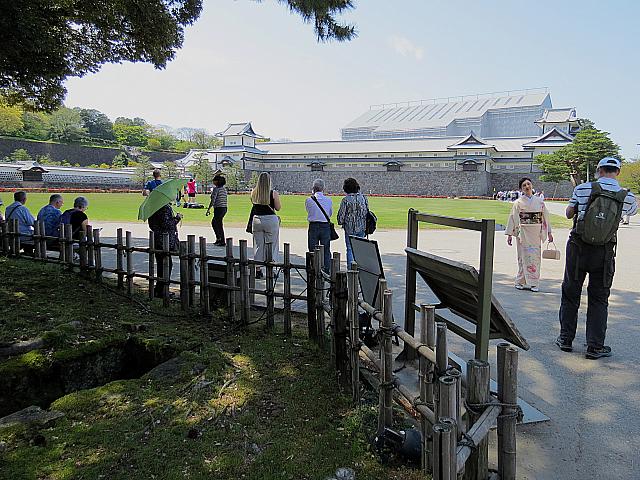 IMG 3779