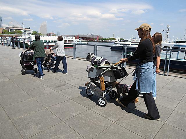 IMG 4053