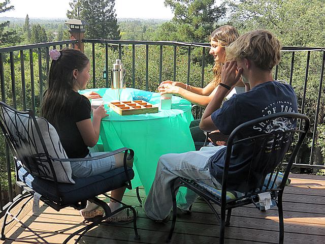 IMG 4341