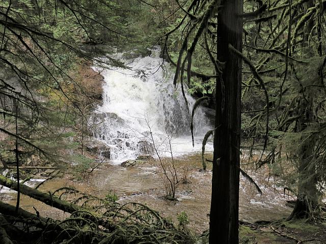 IMG 7080