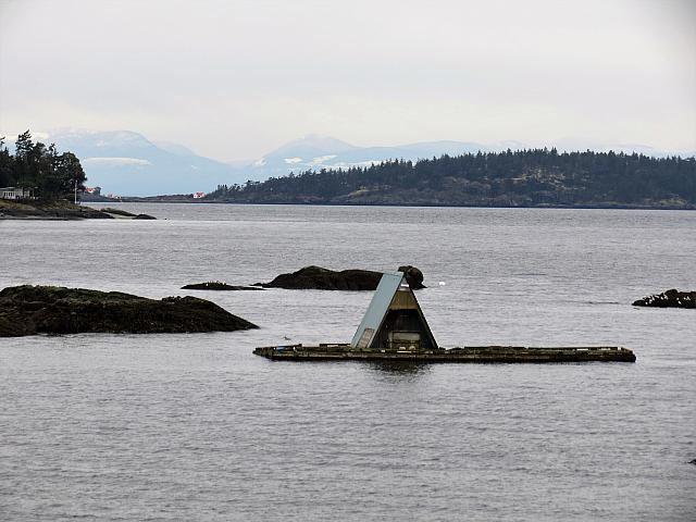 IMG 7087