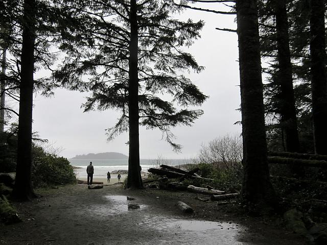IMG 7234
