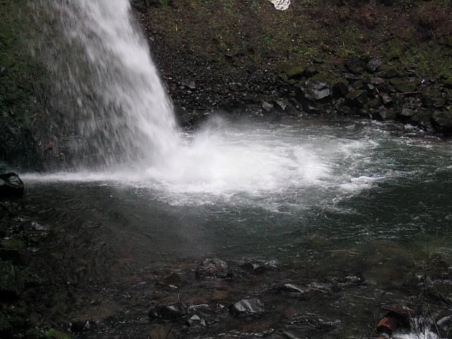 IMG 0770