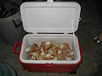 IMG 0389