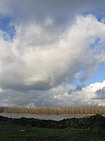IMG 0526