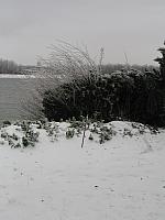 IMG 0611