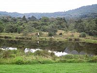 IMG 6911