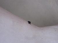 IMG 7044