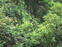 IMG 7155