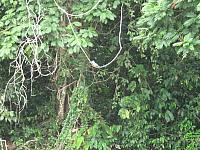 IMG 7196