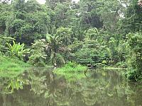 IMG 7257