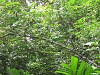 IMG 7266