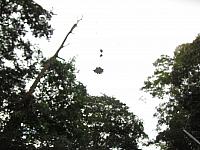 IMG 7356