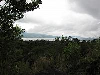 IMG 7471