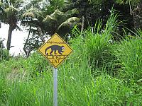 IMG 7570