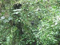 IMG 7589