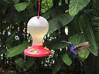 IMG 7705