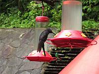 IMG 7728