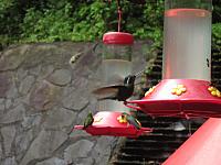 IMG 7730