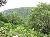 IMG 7899