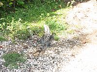 IMG 7968