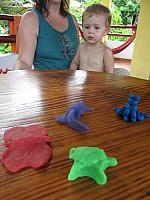 IMG 8323