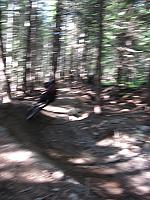 IMG 4480