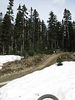 IMG 4615