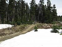 IMG 4625
