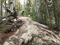 IMG 4681