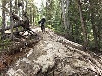 IMG 4683