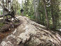 IMG 4687