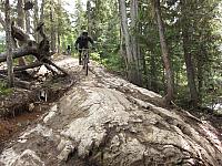 IMG 4688