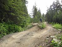 IMG 4735