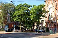 Copy of DSC 0007